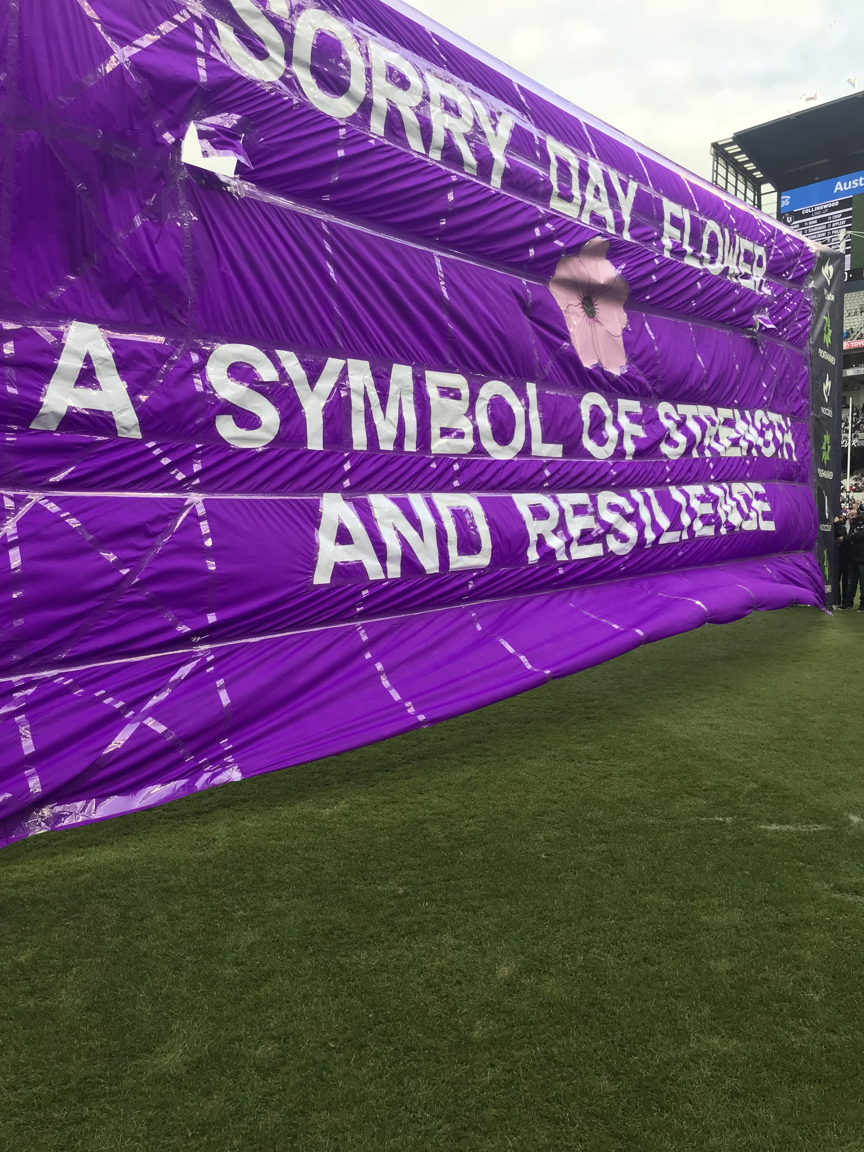 Let's see a mass of purple during Reconciliation Week 27th ...